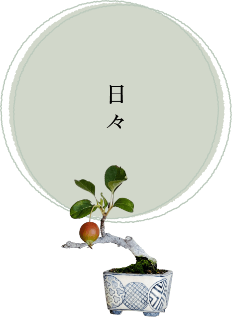 日々