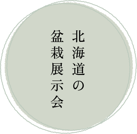 北海道の盆栽展示会